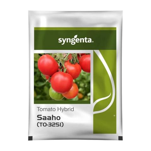 Saaho Tomato Seeds [TO-3251] | Plant a Heat-Tolerant  Hybrid That Delivers Consistent High Yields.
