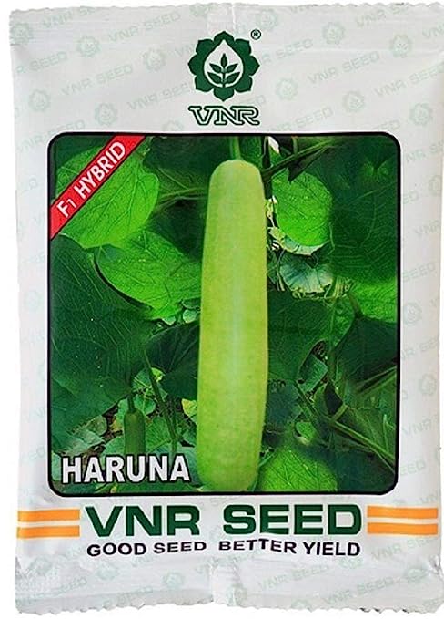 Haruna F1 Hybrid Bottle Gourd Seeds – Early, High-Yield, Parrot Green Fruits