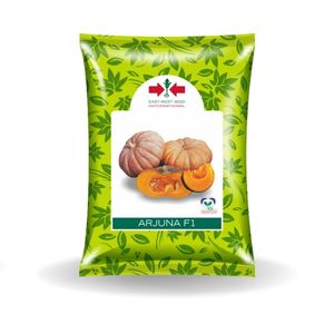 Arjuna Pumpkin Seeds by East West - High Yield, Firm Yellow-Orange Flesh