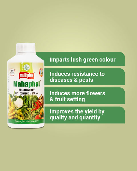 Multiplex Mahaphal Bio Stimulant – Boosts Yield & Quality