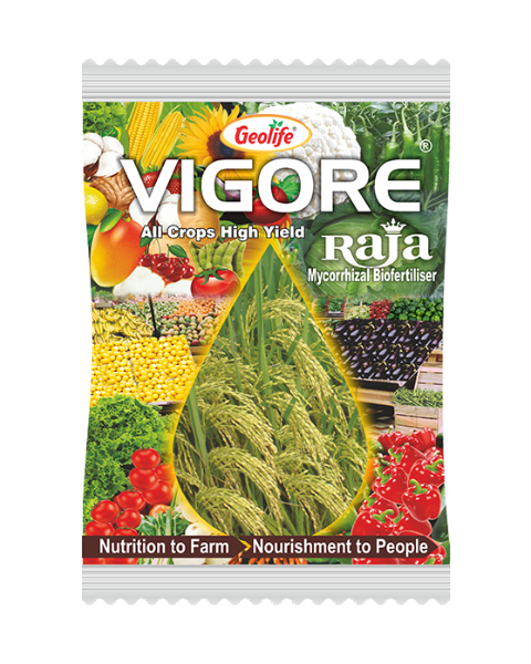 Geolife Vigore Raja Bio Fertilizer – Enhances Nutrient Absorption & Crop Productivity